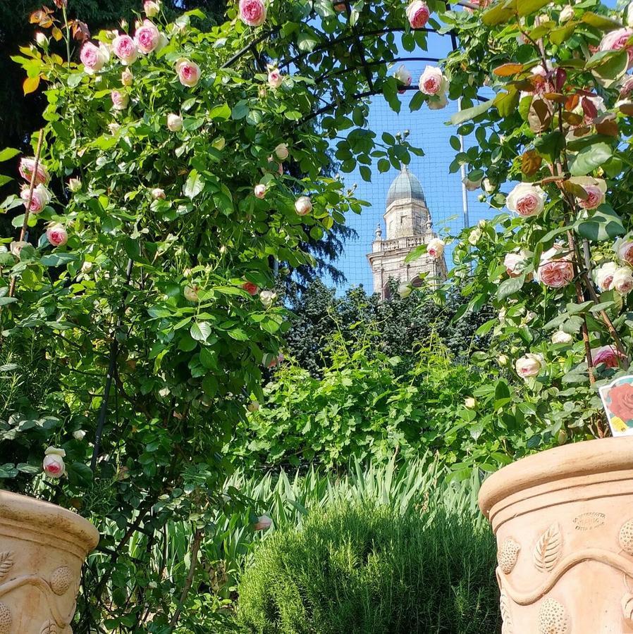 Villa Aldegheri Colognola ai Colli Dış mekan fotoğraf